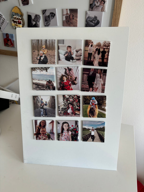 Family Set - 12 Magneta