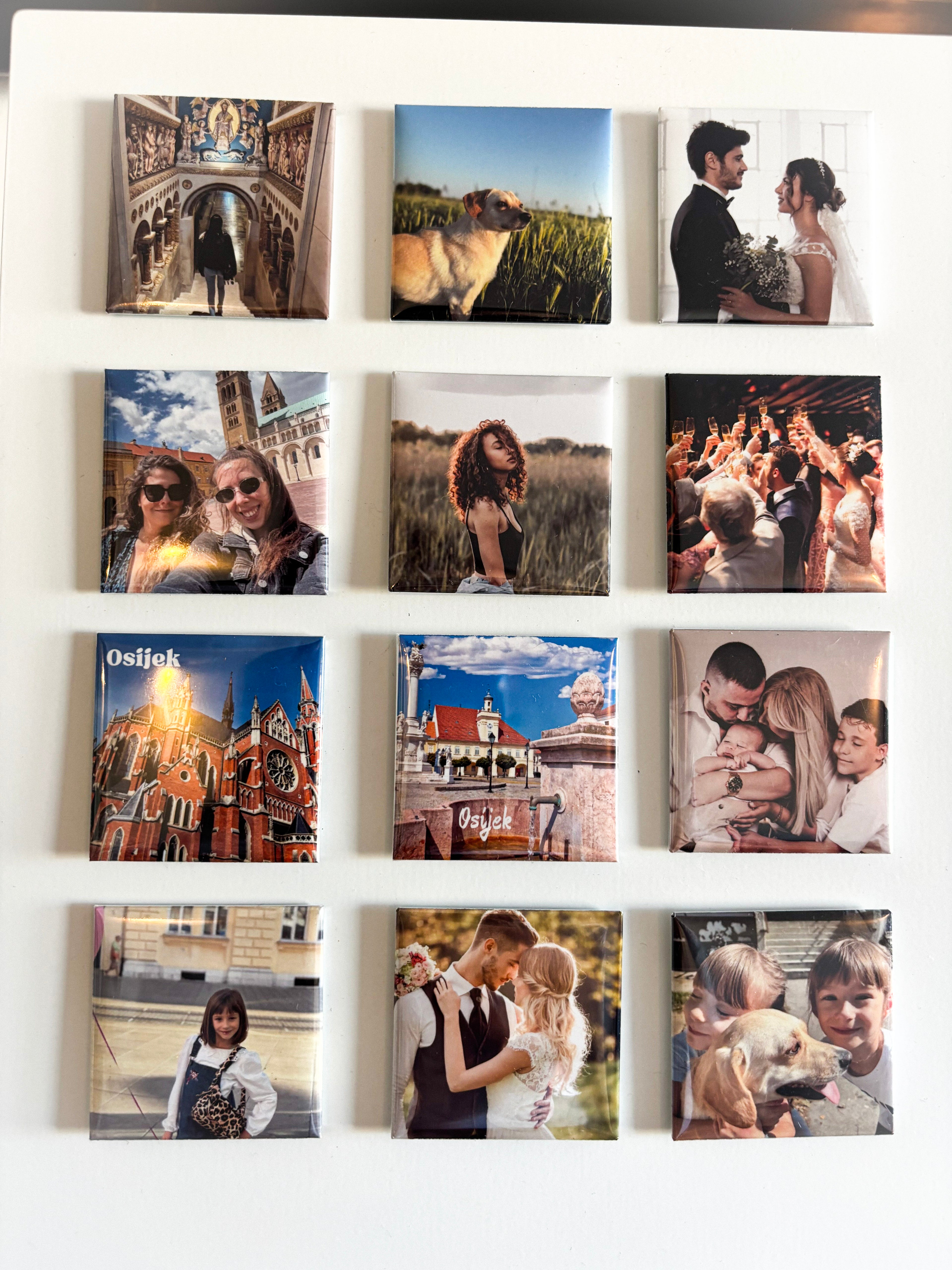 Family Set — 12 Magneta